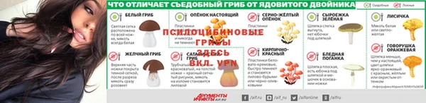 apvp Пролетарск
