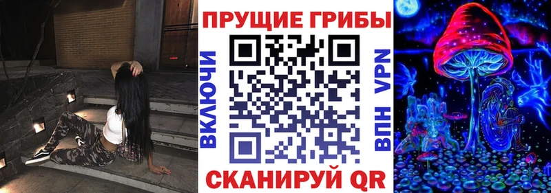 купить наркотики сайты  Тайга  Псилоцибиновые грибы прущие грибы 