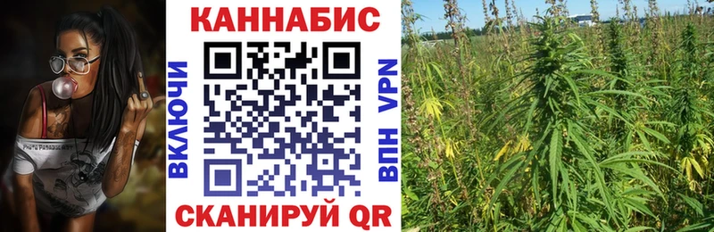 shop как зайти  Тайга  Конопля семена 